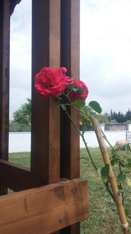 Liberta Guesthouse Seferihisar Bagian luar foto